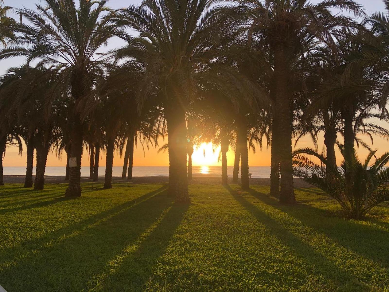 Apartamento Playamar - Torremolinos Primera Linea Playa ภายนอก รูปภาพ